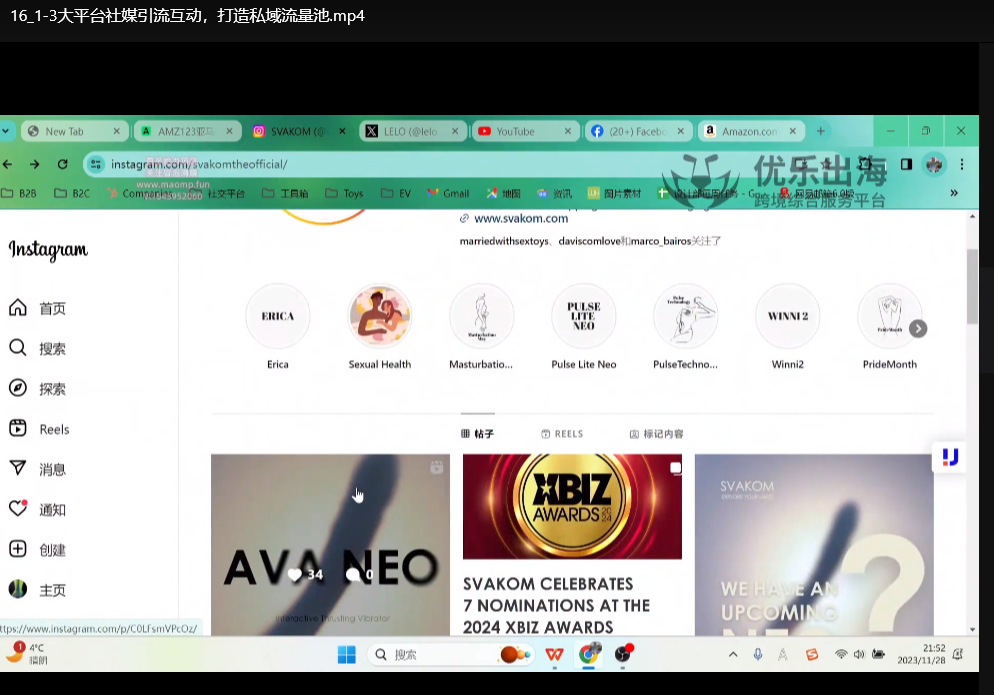 亚马逊成人用品站外营销推广方案：新品爆款打造实战指南下载  3