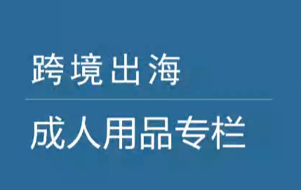 亚马逊成人用品站外营销推广方案：新品爆款打造实战指南