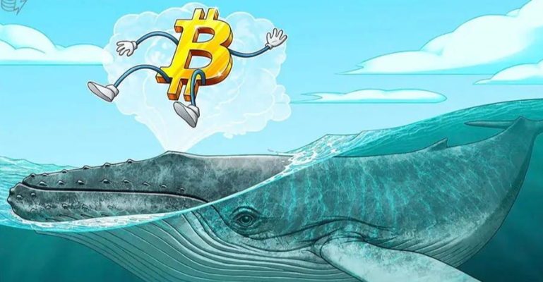 币圈巨鲸是什么意思，Crypto Whales对加密市场有何影响？