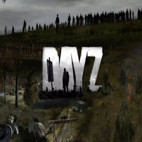 DayZ破解版下载：最新版免费畅玩+中文汉化