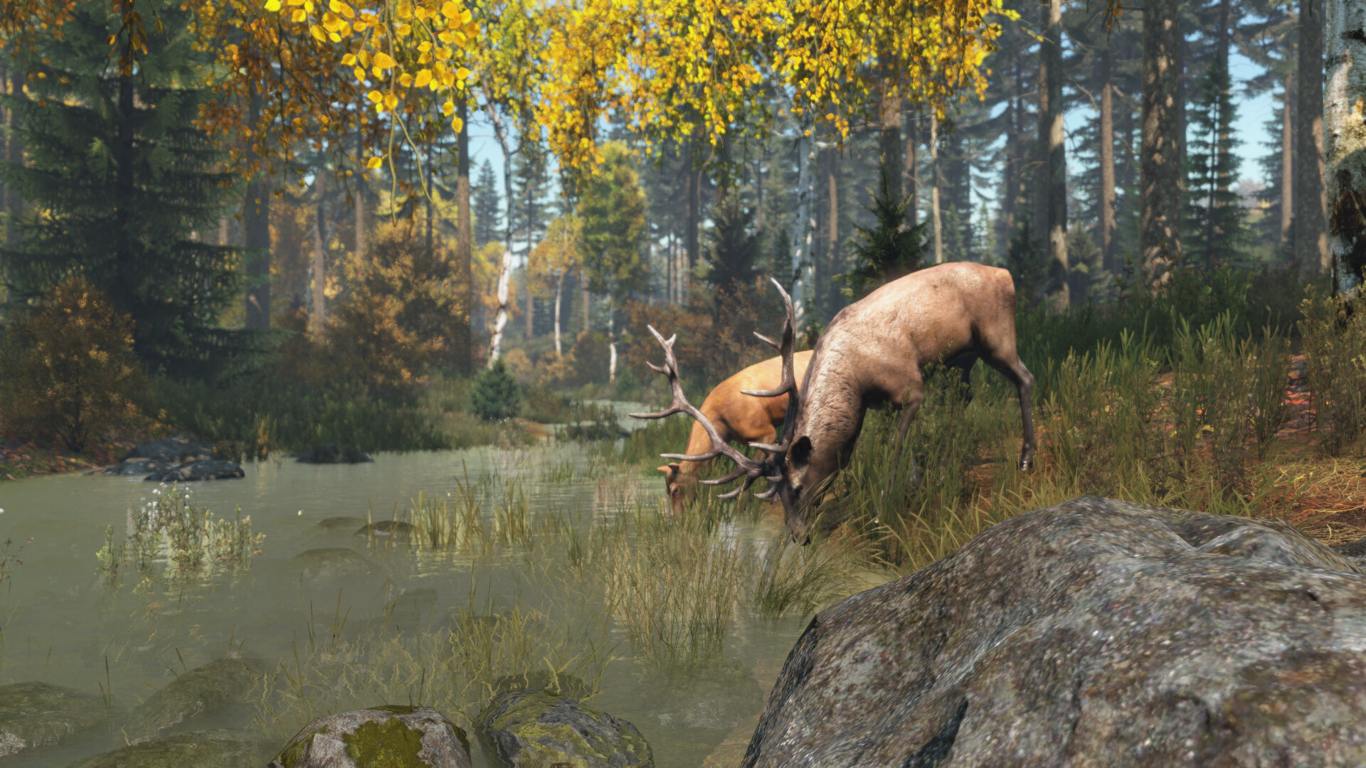 DayZ破解版下载：最新版免费畅玩+中文汉化下载 V1.26 4