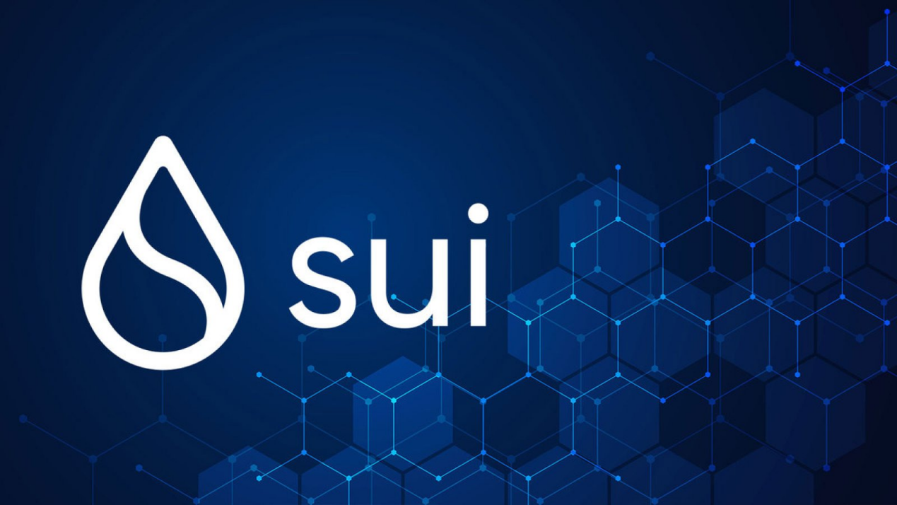 Sui币是公链吗？它的技术架构如何影响区块链生态？