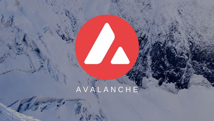 AVAX币源自哪个国家？AVAX背景与发展剖析