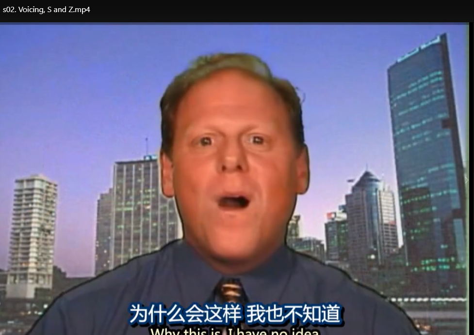 Lisa美语发音课程：保罗·格鲁伯美音教学，零基础攻克地道美式发音下载  4