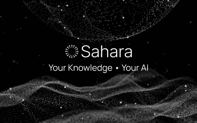 Sahara AI代币归属哪个国家？其代币经济学与功能用途全解析？