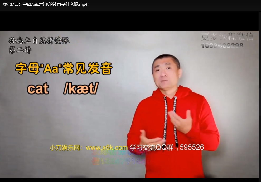 孙志立英语自然拼读100讲：零基础掌握发音技巧（完结全课）下载 2