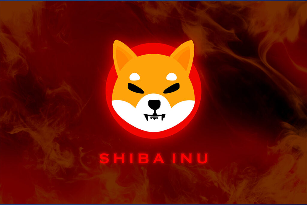shib合约地址是多少，查询地址还能获知哪些链上信息？
