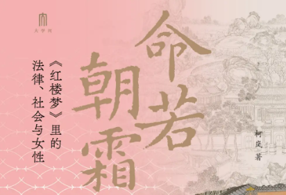 2025上半年豆瓣高分历史新书Top20：电子书合集下载  0