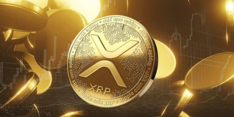 xrp币手机交易软件