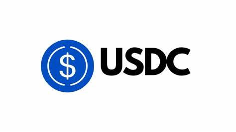 USDC币在中国叫什么，官方文档是否统一使用这个名字？