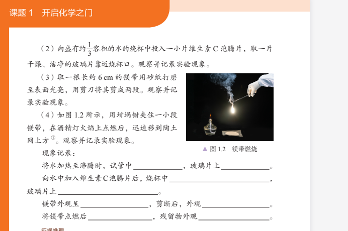 2025中小学全套电子教材合集：新课标PDF电子书下载  3