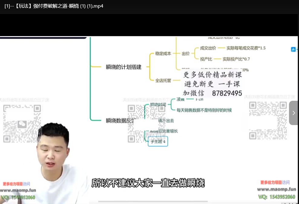 拼多多实战教程：从新手到高手全阶指南下载  2