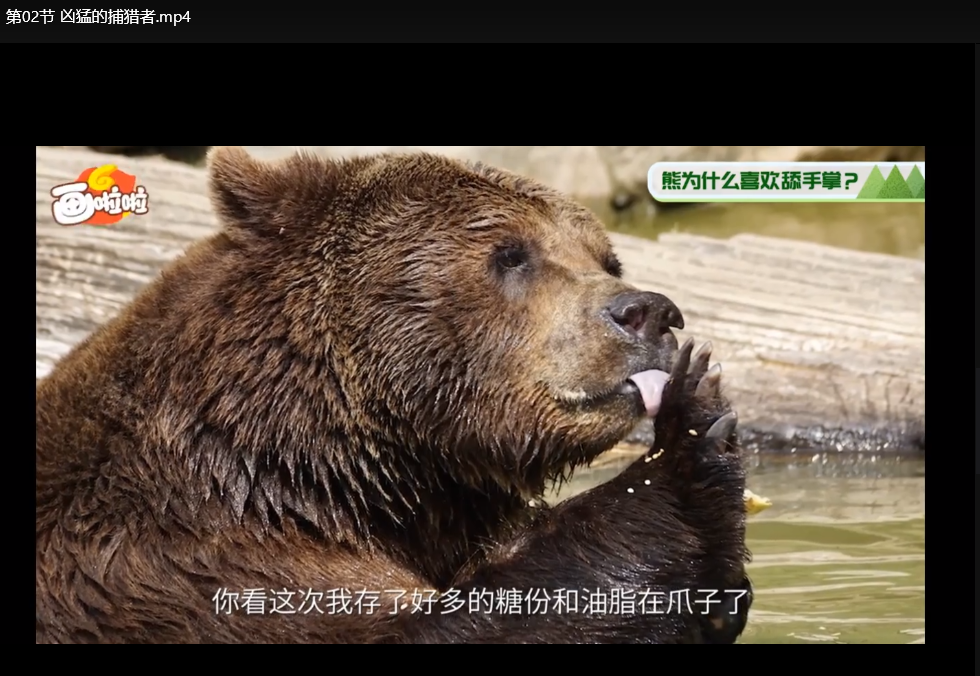 小灯塔奇趣生物大百科全集：儿童科普动画视频下载  4