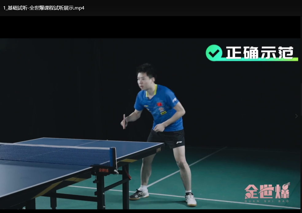 国手亲授专业乒乓球教学34节：零基础到实战精讲全教程下载  0