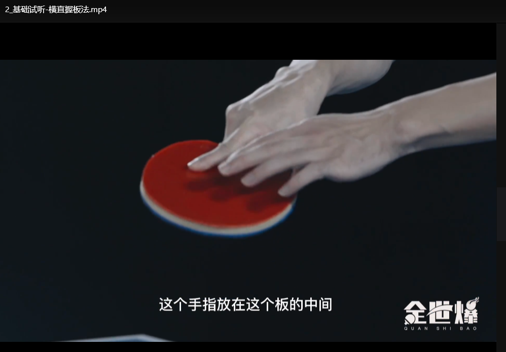 国手亲授专业乒乓球教学34节：零基础到实战精讲全教程下载  3