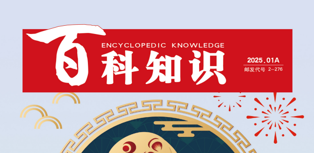 2025年热门杂志PDF资源合集：持续更新最新版