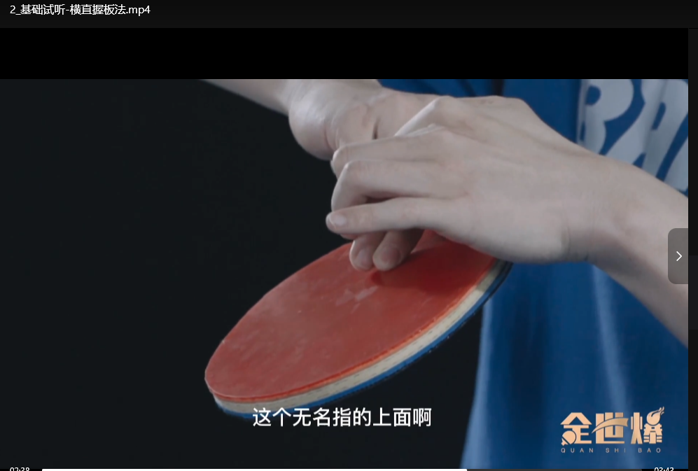 国手亲授专业乒乓球教学34节：零基础到实战精讲全教程下载  4