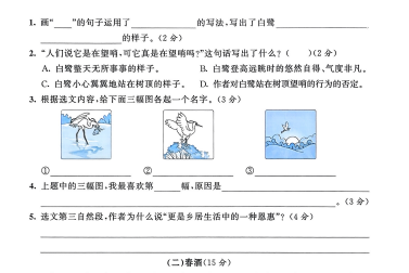 2025秋季小学语数英同步辅导资料合集：MP4视频+PDF文档下载  4