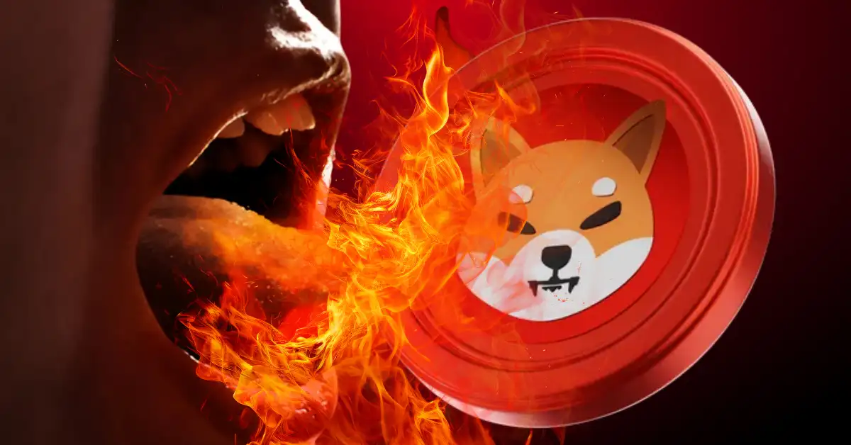 柴犬币值得长期持有吗？它的生态支持有哪些实用用例？