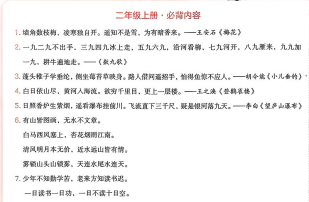 2025小学预备知识点一本通：幼小衔接必备宝典下载 1