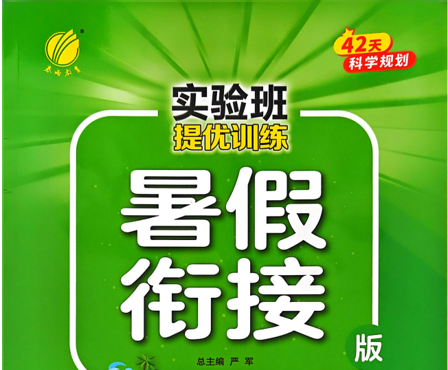 2025新版实验班暑假提优训练：语数英三科衔接课+PDF电子版【6GB高效学习包】下载  0