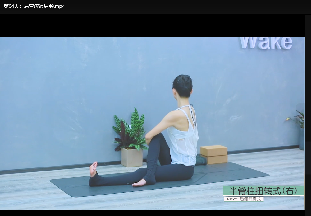 瘦身瑜伽课程全套：从零基础到精通塑形下载 4
