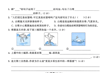 2025秋季小学语数英全科资料包：同步课程+真题精练下载 4