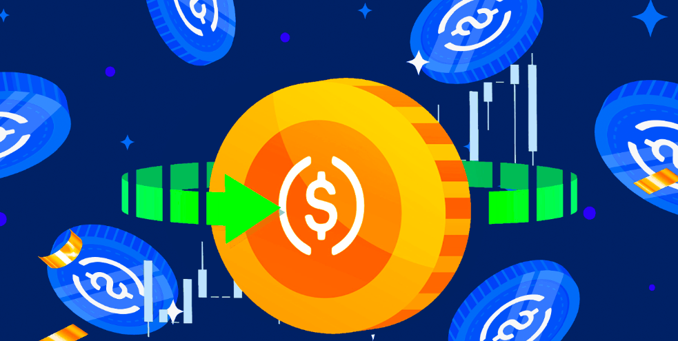 稳定币的区块链地址怎么查？区块链浏览器使用教程