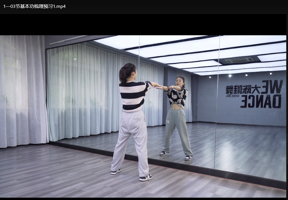 美女大陈舞蹈课程全集：零基础入门到精通高清视频教程下载 4