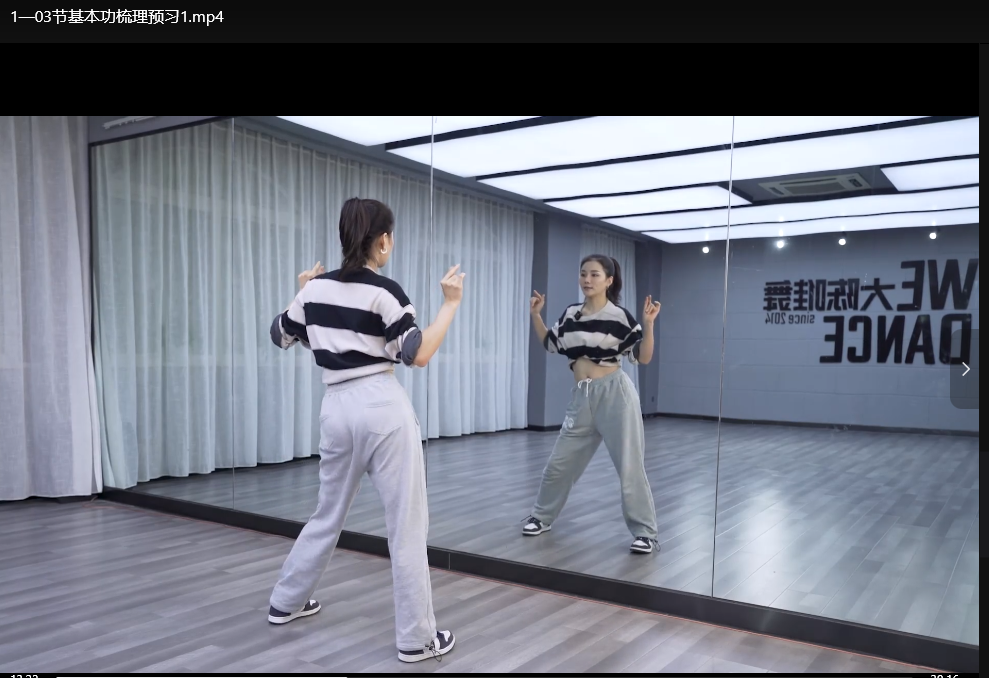 美女大陈舞蹈课程全集：零基础入门到精通高清视频教程下载 3