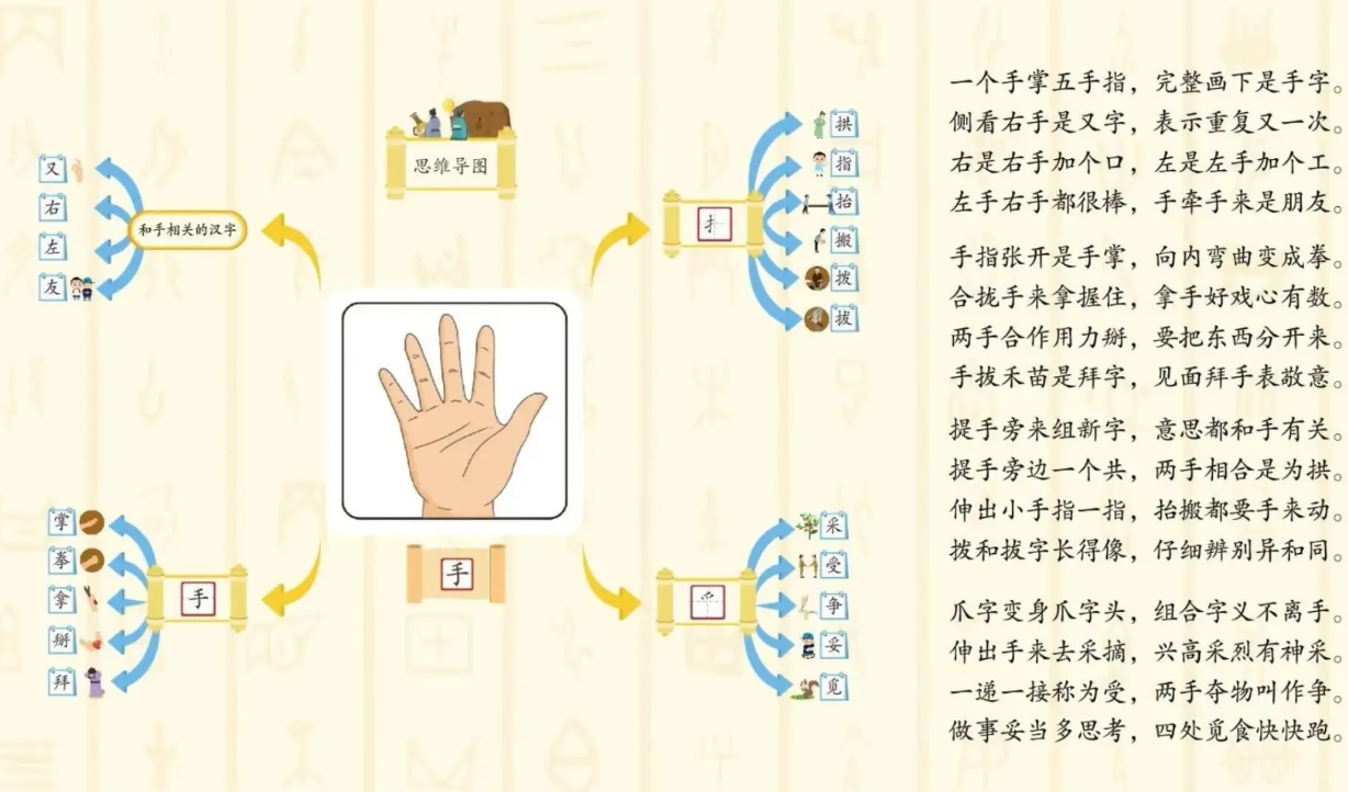 常青藤爸爸字源识字全集：汉字启蒙卡片+思维导图资源包