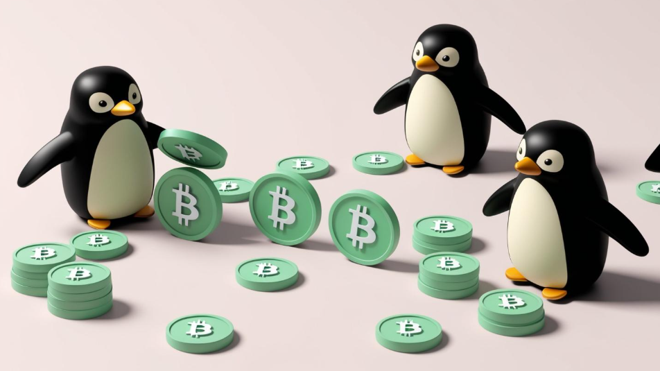 Pudgy Penguins如何实现社区自救？NFT市场坚守的关键是什么？