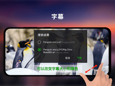 XPlayer修改版下载 v2.4.8.2 6