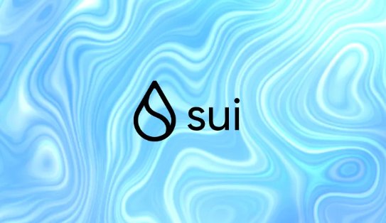 Sui虚拟机的并行执行是什么？多线程如何提升性能？