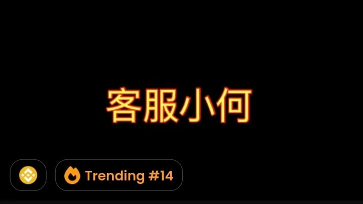 加密货币“客服小何”是什么？它为何能在短时间内飙升？