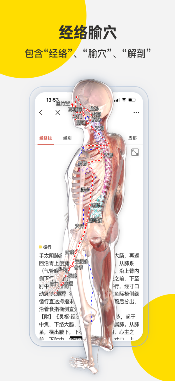 3Dbody解剖IOS最新版下载 8.8.71 3