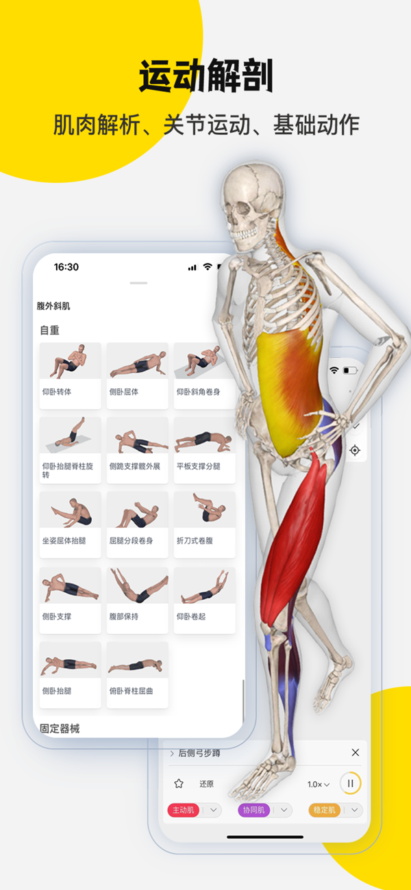 3Dbody解剖IOS最新版下载 8.8.71 0