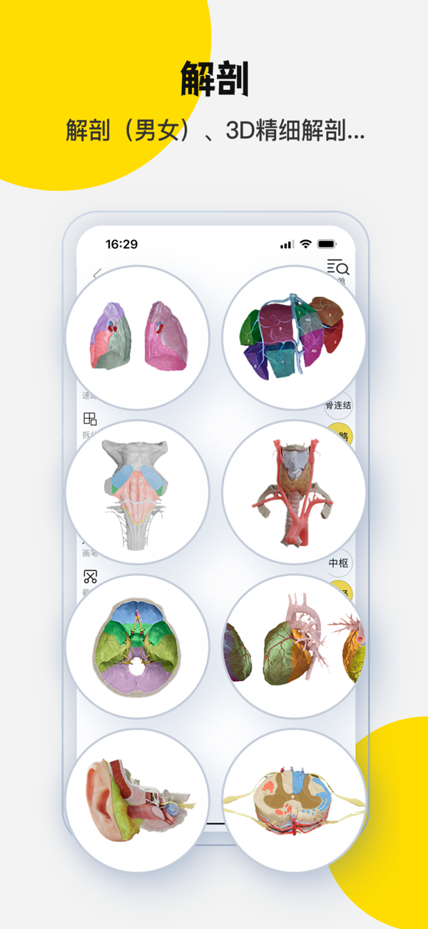 3Dbody解剖IOS最新版下载 8.8.71 2