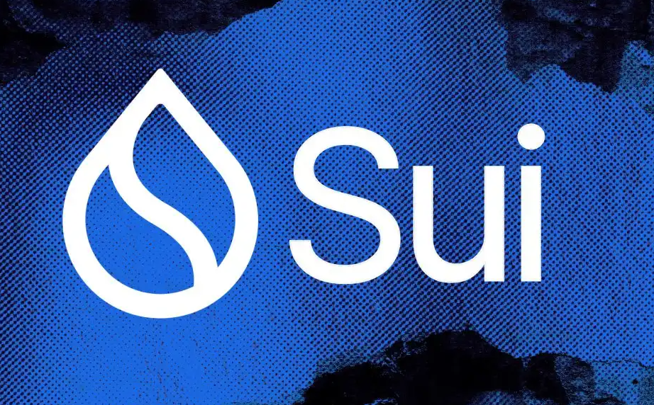 Sui治理的社区提案过程是什么？SUI持有者如何投票决策？
