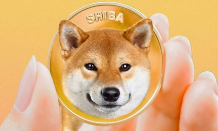 柴犬币怎么购买?通过哪些交易所可以安全买入柴犬币?
