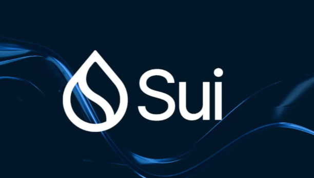 Sui币在Sui区块链中的定位是什么?如何吸引开发者?