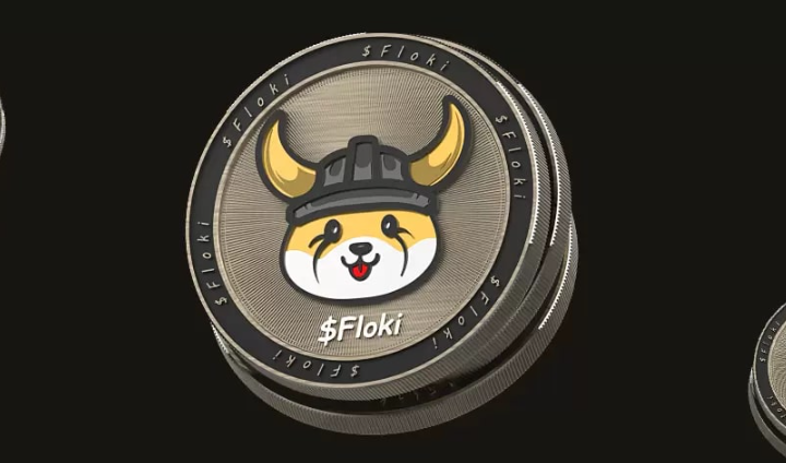 FLOKI是什么数字资产？如何购买和使用FLOKI参与生态？