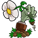 植物大战僵尸e版支线安装包