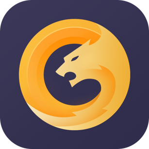 野豹加速器电脑版