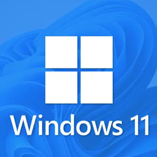 Windows11安装助手