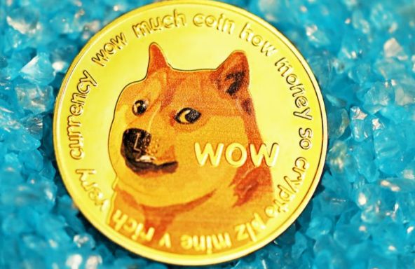 如何查看狗狗币实时行情?哪些工具能提供准确数据?