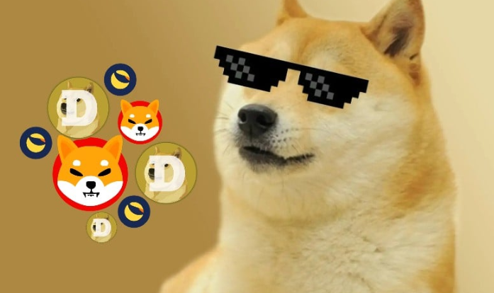 狗狗币今日行情如何？影响其价格波动的关键因素是什么？