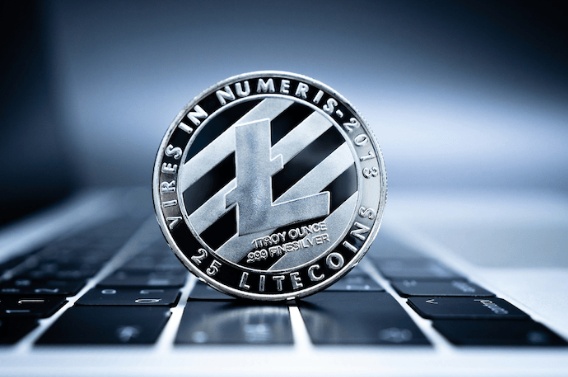 LTC币如何存储？LTC币冷钱包推荐哪些？