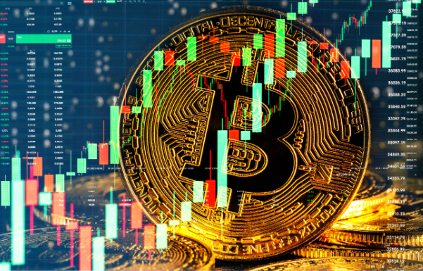 限价单与市价单有何不同?新手用户应如何选择与使用?