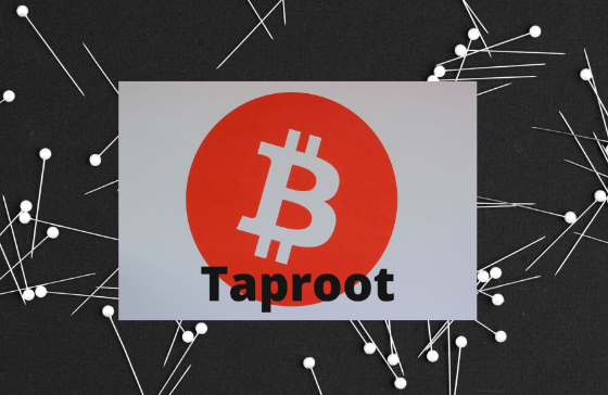 比特币Taproot升级是什么?如何提升隐私与效率?